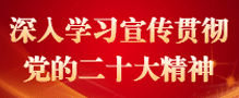 深入学习宣传贯彻党的二十大精神